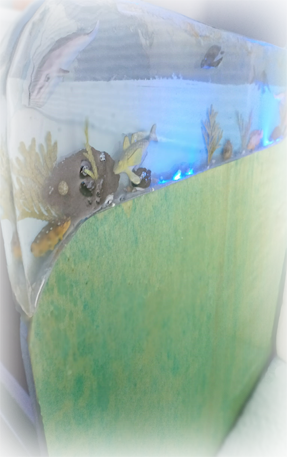 ⛵binationales zwischenMEHR ⛱ Deutschland-Brasilien